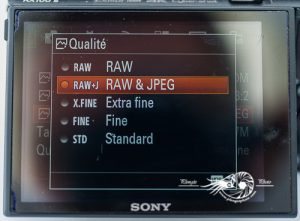 Qualité maximale Sony