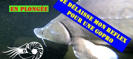 C’était le vendredi 13 mars 2020 (Vidéo)