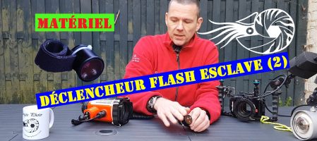 Triggerfish – Un déclencheur de flash déporté belge