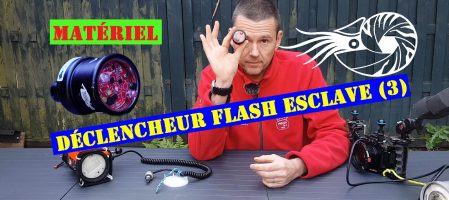 Anglerfish Trigger-Le plus versatile (Vidéo)