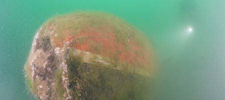 Comment photographier en grand-angle dans une eau très très chargée ?