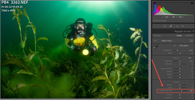 Lightroom - Trois outils incroyables pour accélérer la retouche de vos  photos sous-marines - Plonger et faire des photos