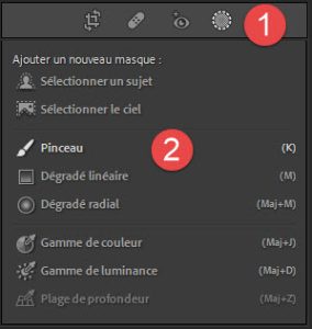 Masquage au pinceau dans Lightroom