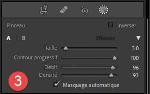 Masquage automatique dans Lightroom.