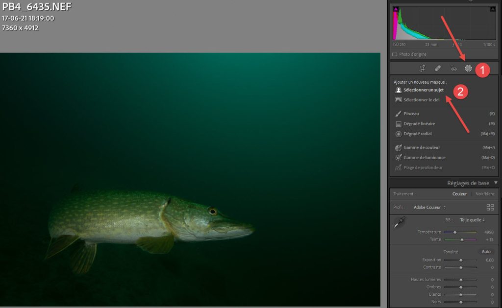 Outil de masquage dans Lightroom